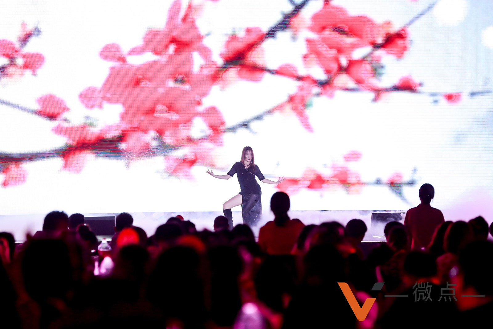 微點網(wǎng)絡公司年會性感熱舞表演